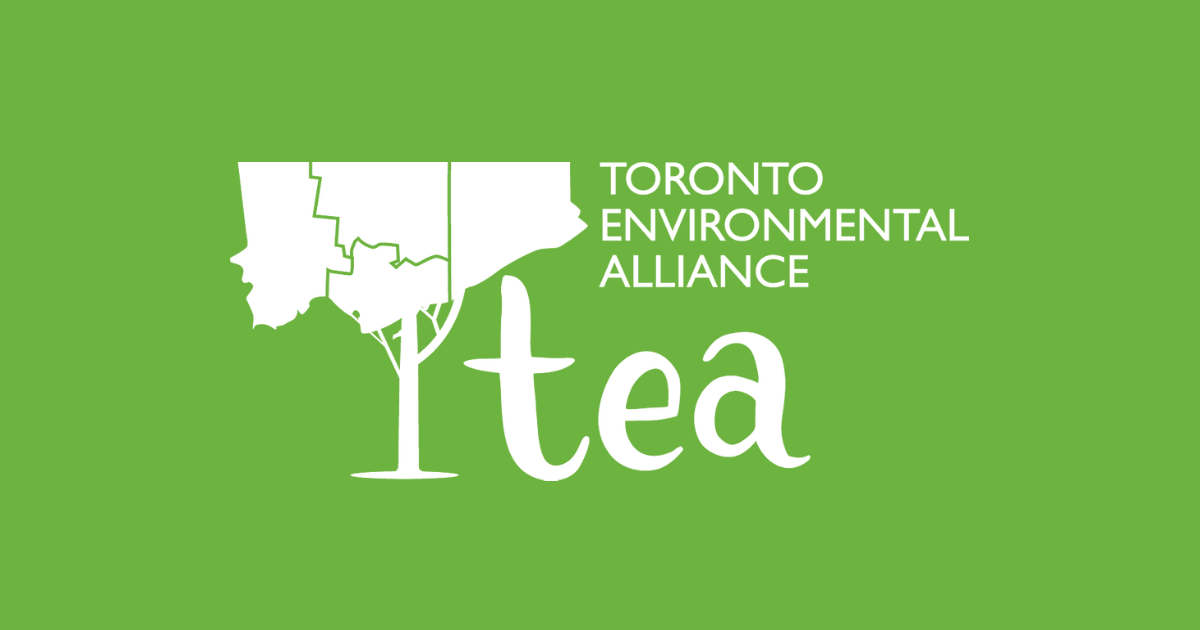 Environmental leader wanted!
