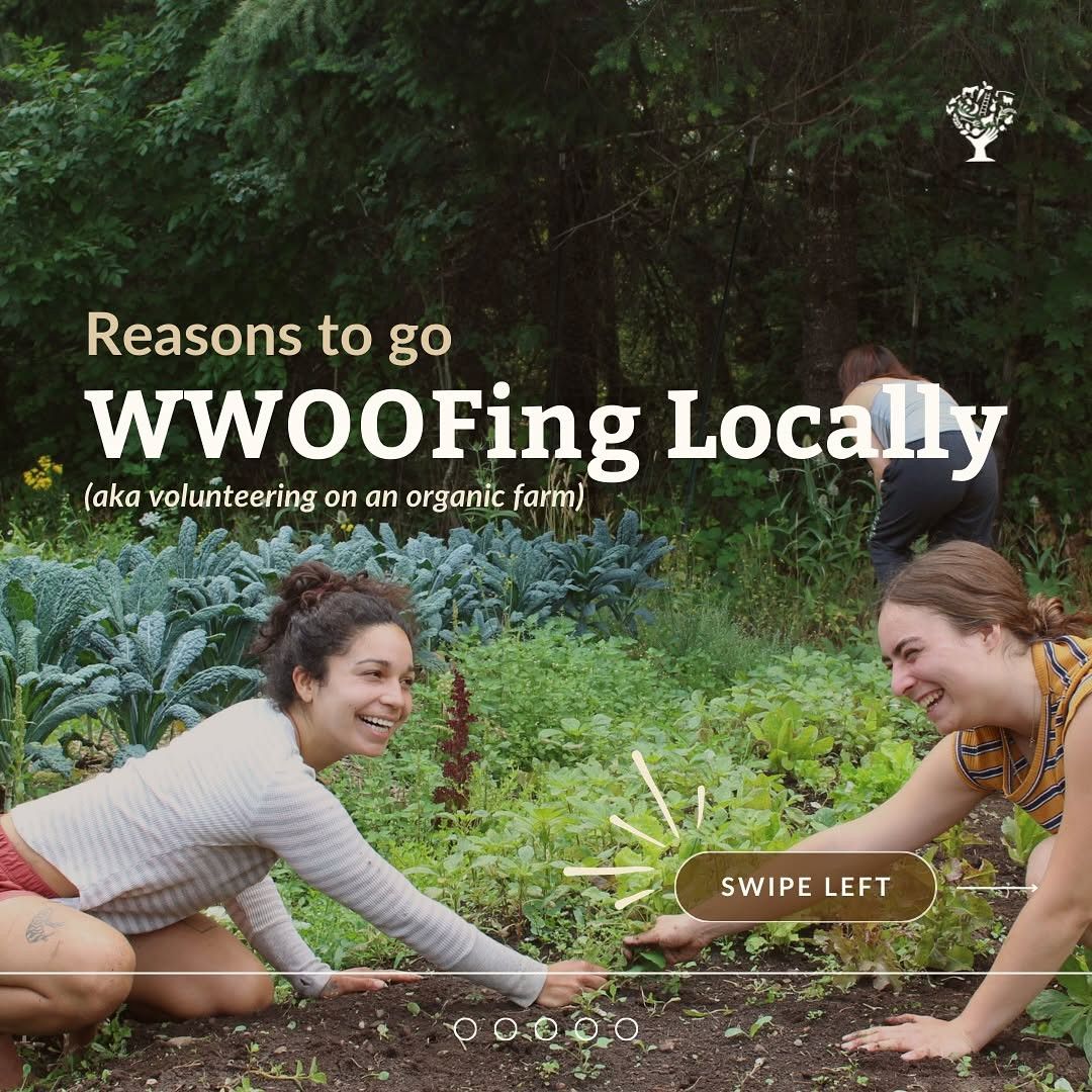 Farm stays in GTA, Ontario &&nbsp;beyond…
